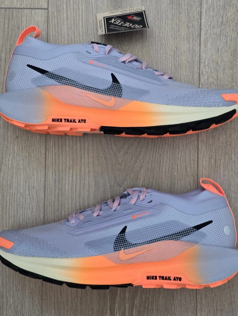 Nike Pegasus Trail 5 GORE-TEX Waterproof Trail Running Shoe FQ0912-011 Womens 10